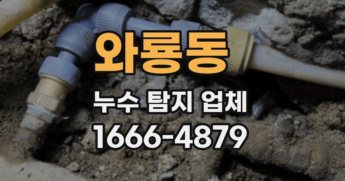 와룡동 누수 탐지 업체