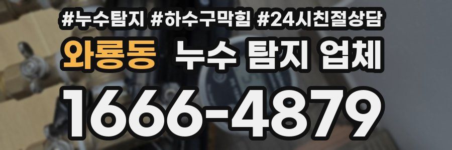 와룡동 누수 탐지 업체