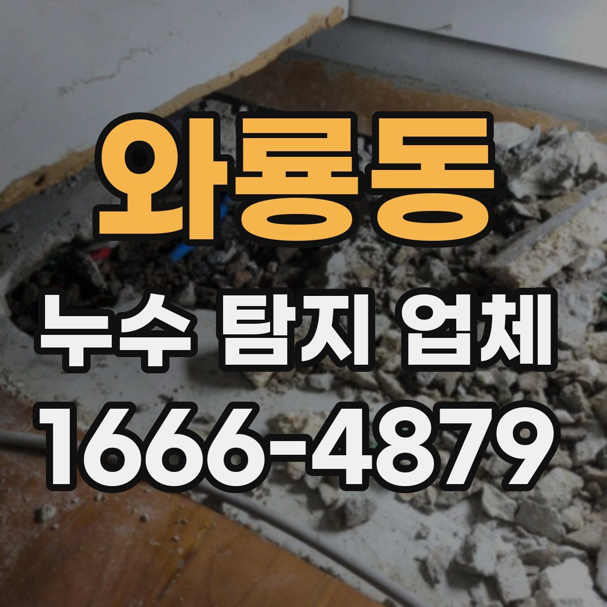 와룡동 누수 탐지 업체