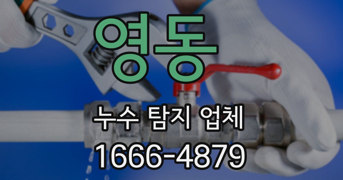영동 누수 탐지 업체