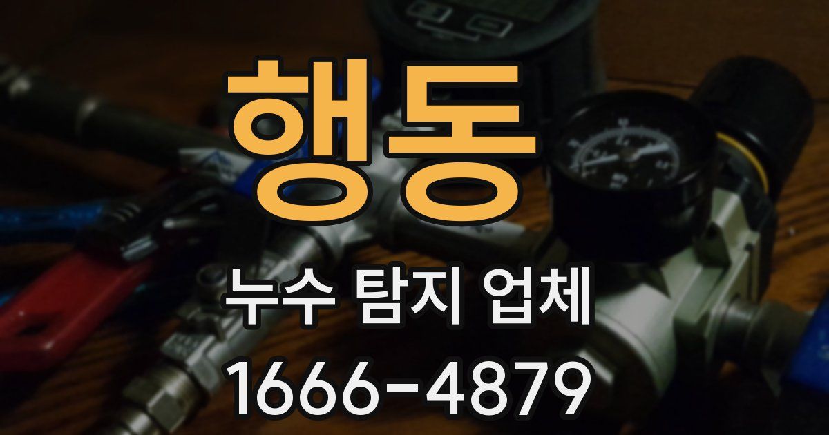 행동 누수 탐지 업체