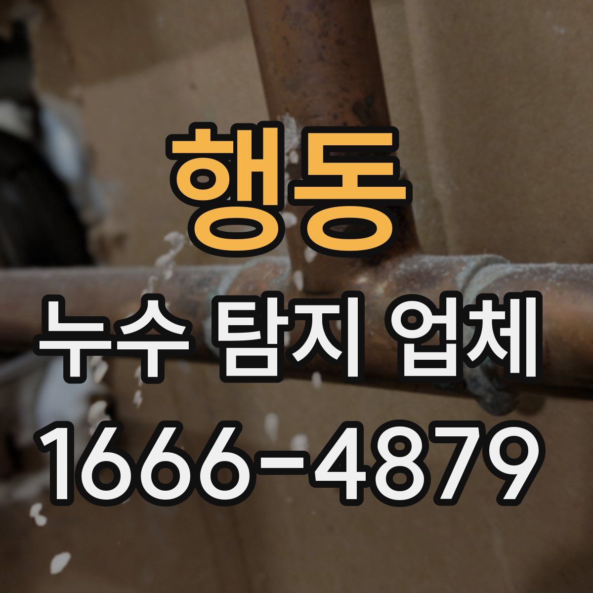 행동 누수 탐지 업체
