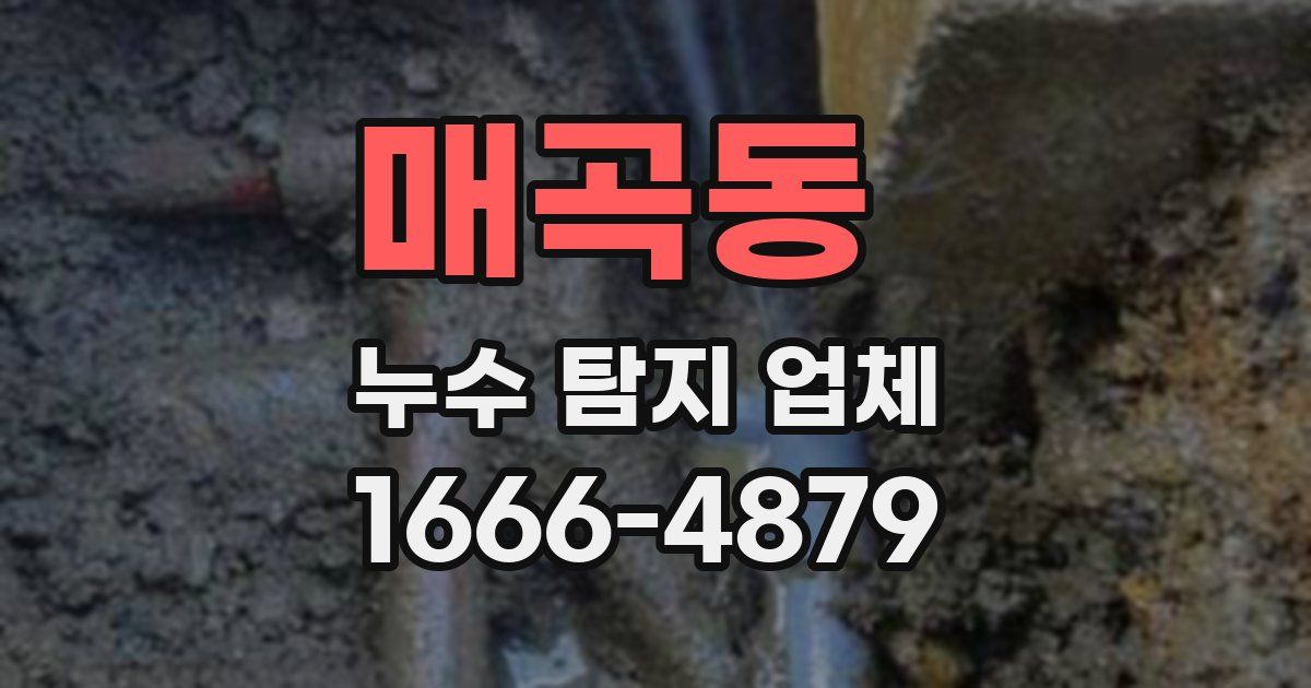 매곡동 누수 탐지 업체