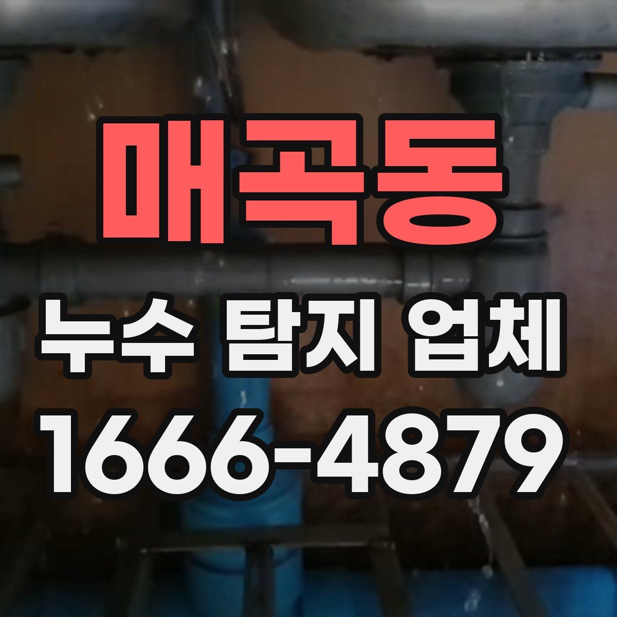 매곡동 누수 탐지 업체