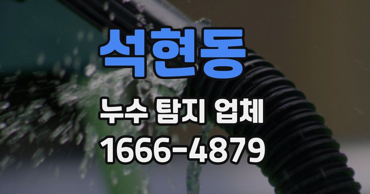 석현동 누수 탐지 업체