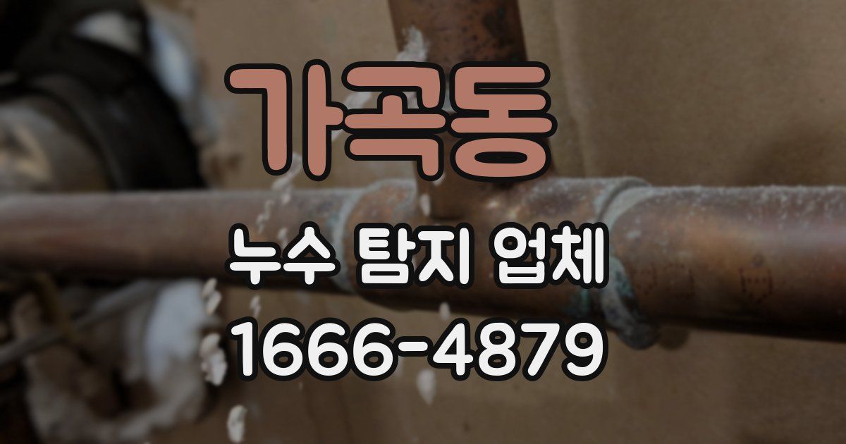 가곡동 누수 탐지 업체