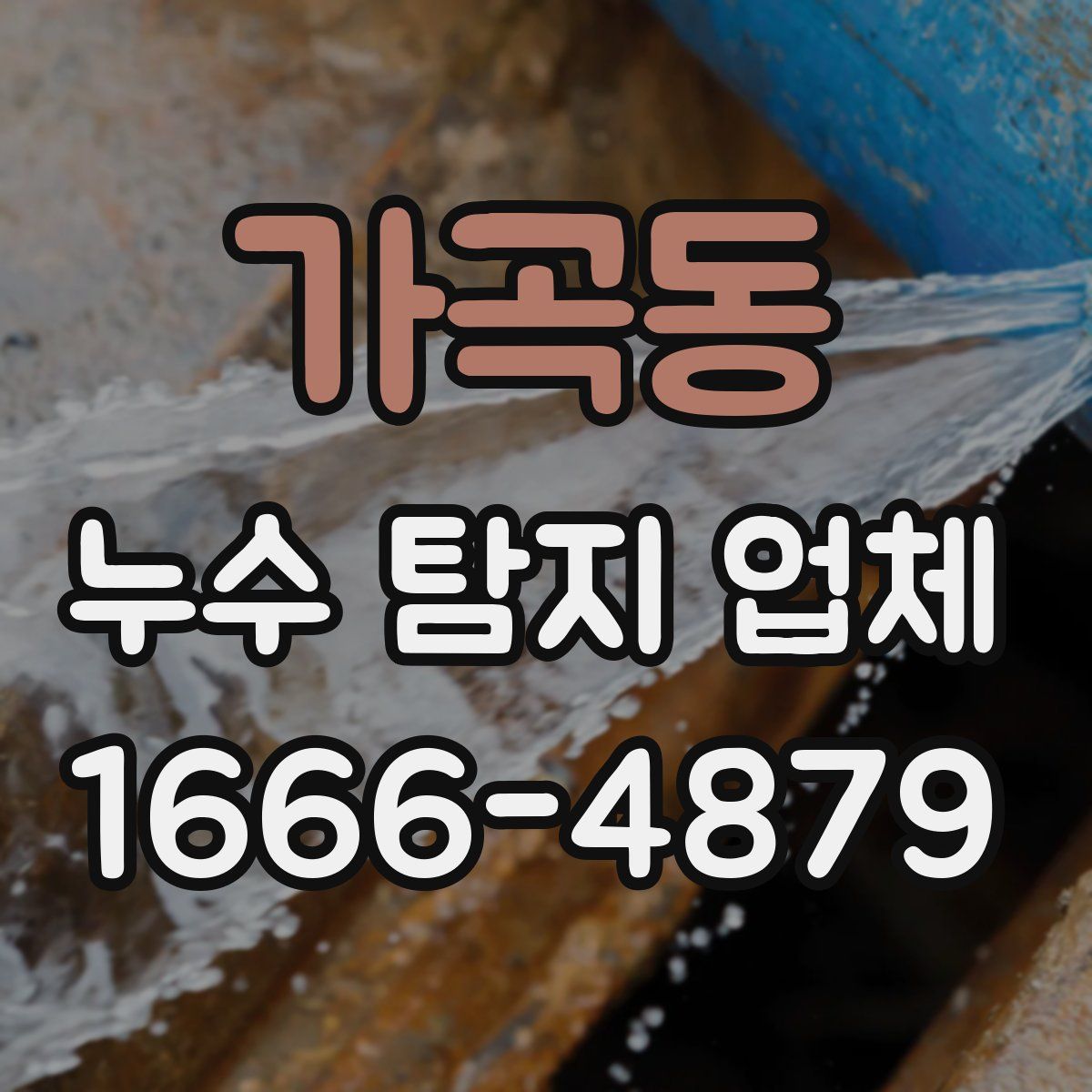 가곡동 누수 탐지 업체