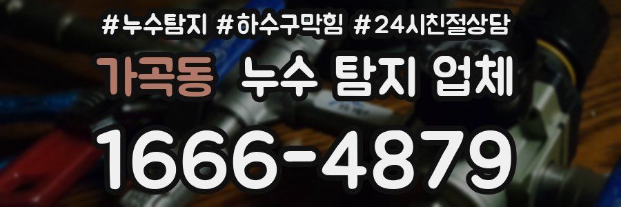 가곡동 누수 탐지 업체