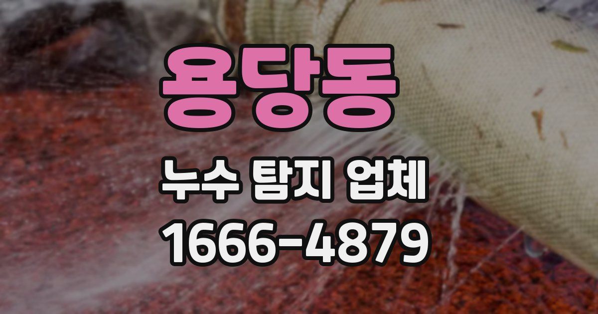 용당동 누수 탐지 업체