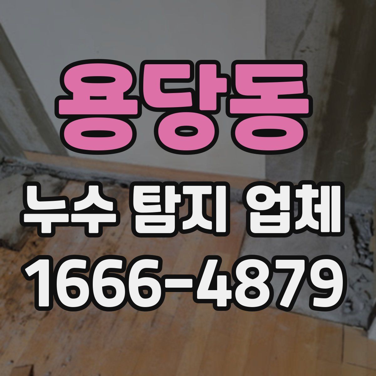 용당동 누수 탐지 업체