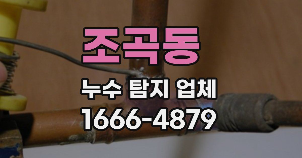 조곡동 누수 탐지 업체