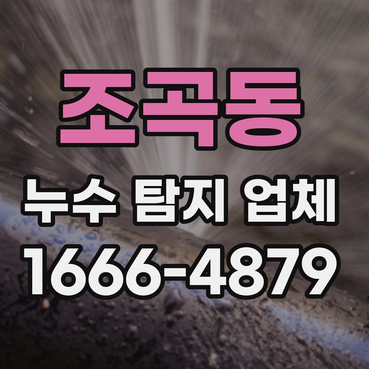 조곡동 누수 탐지 업체