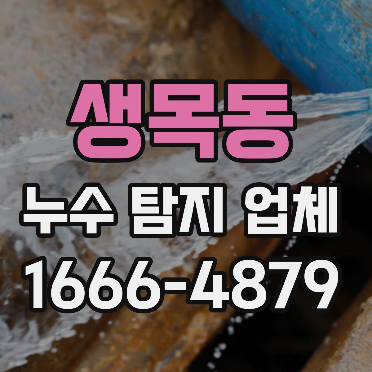 생목동 누수 탐지 업체