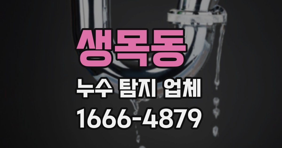 생목동 누수 탐지 업체