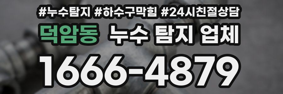 덕암동 누수 탐지 업체