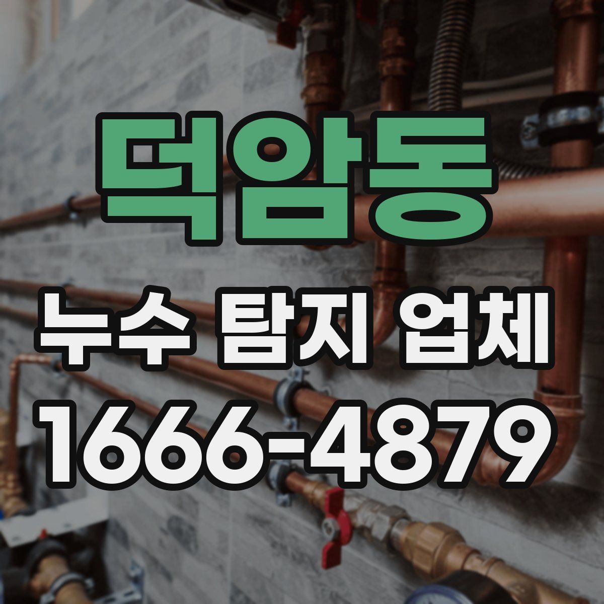 덕암동 누수 탐지 업체