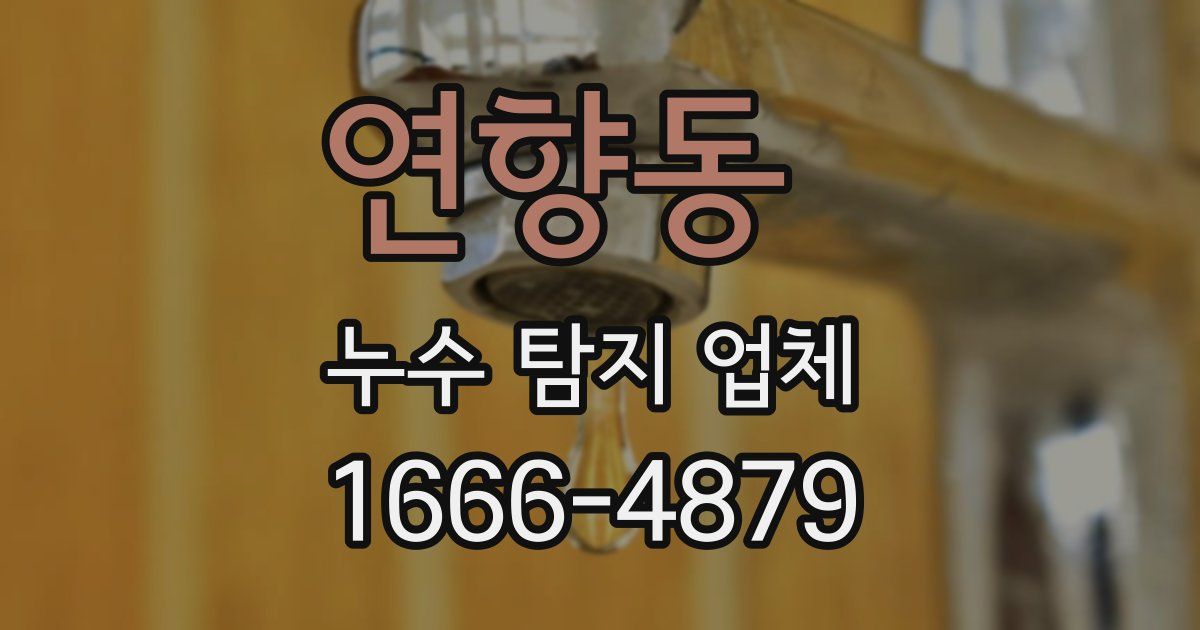 연향동 누수 탐지 업체
