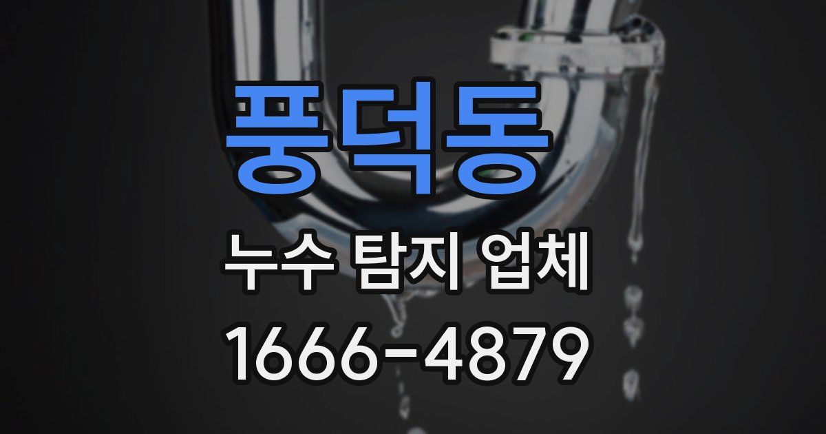 풍덕동 누수 탐지 업체