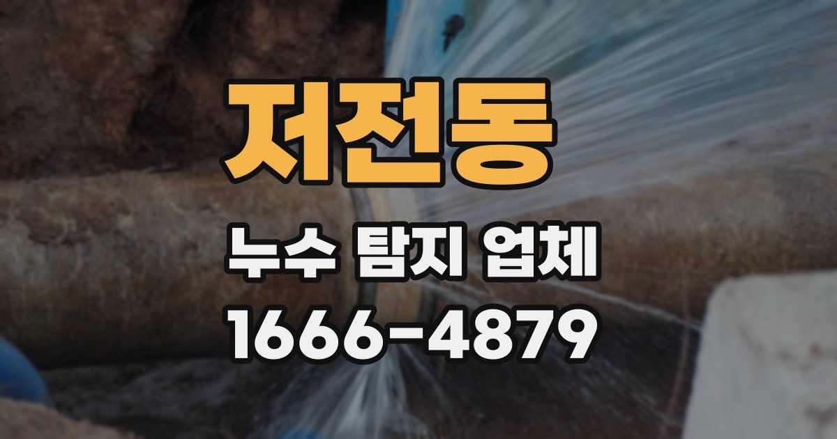 저전동 누수 탐지 업체