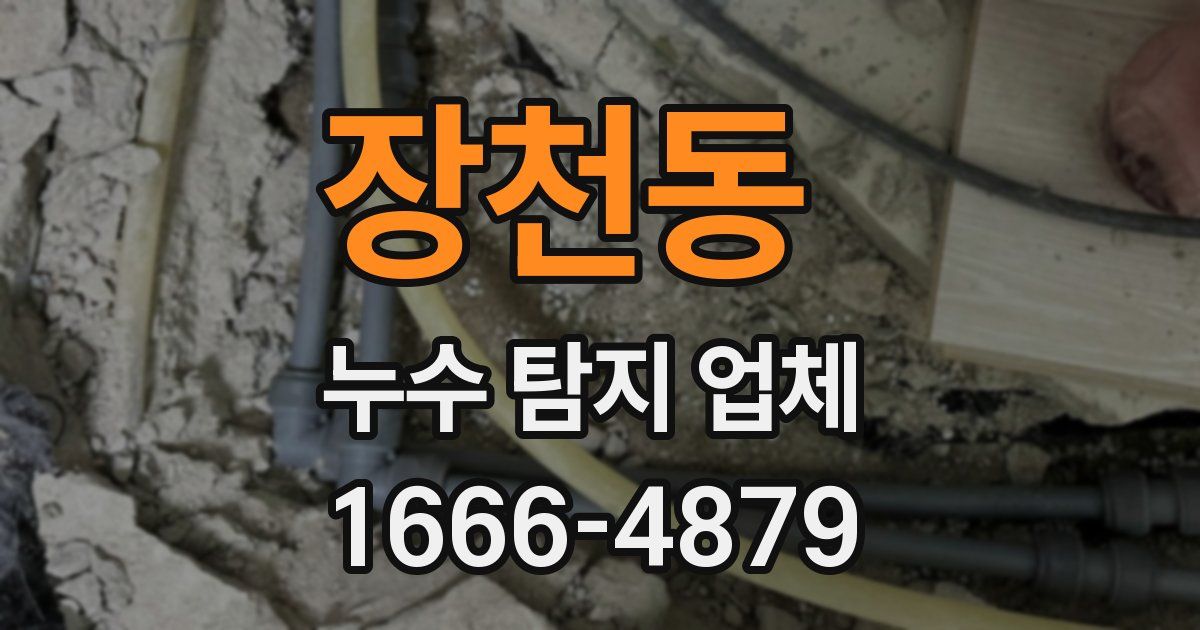 장천동 누수 탐지 업체