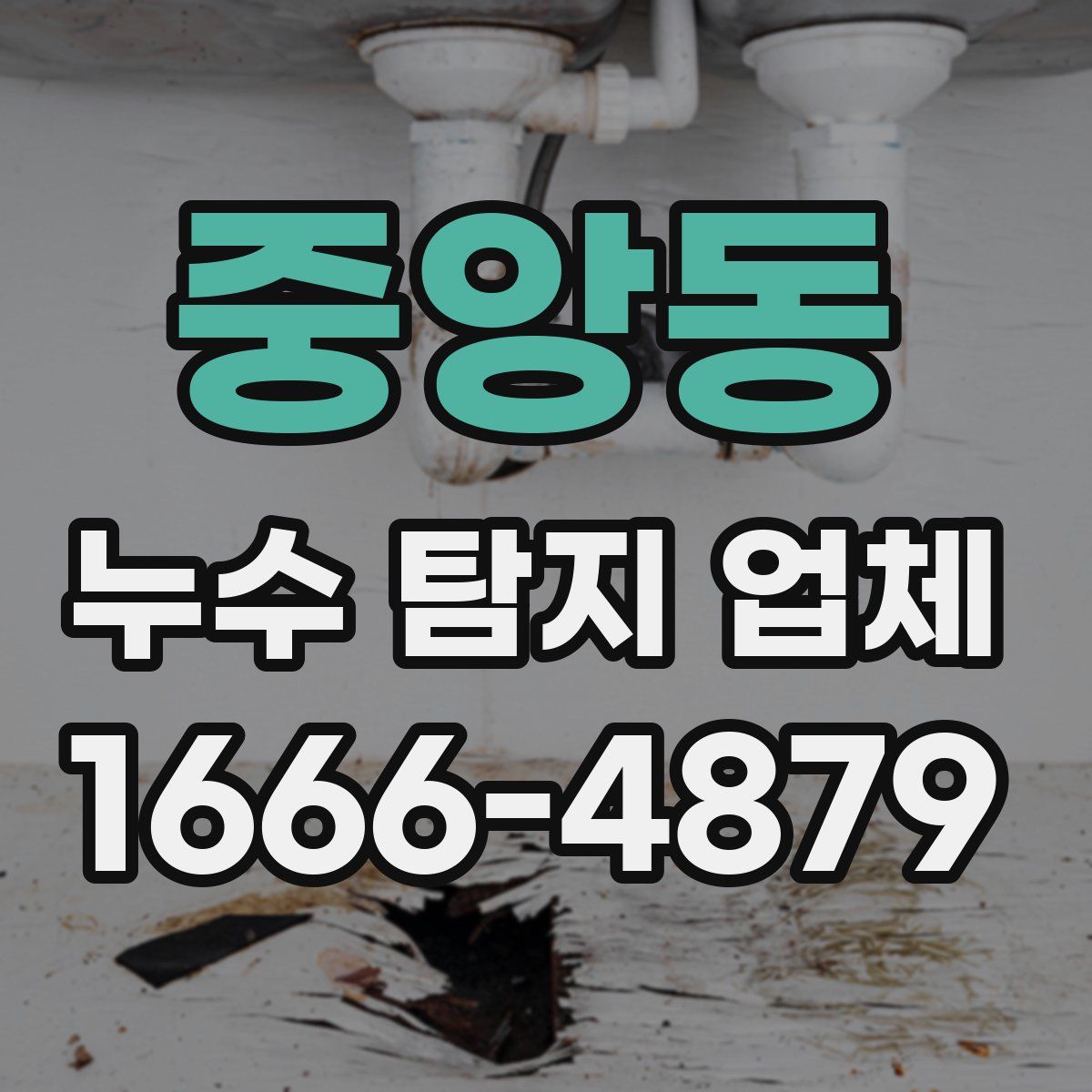 중앙동 누수 탐지 업체