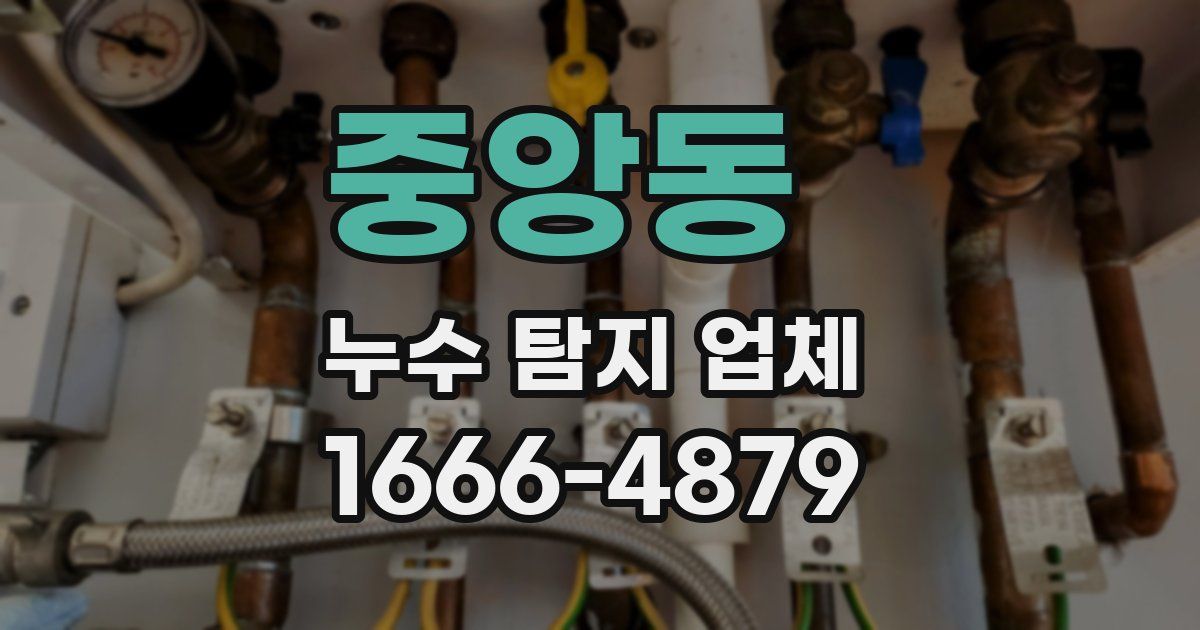 중앙동 누수 탐지 업체