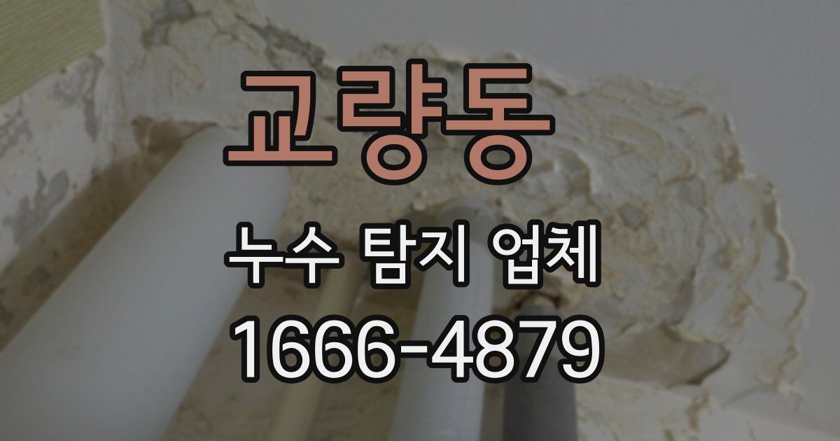 교량동 누수 탐지 업체