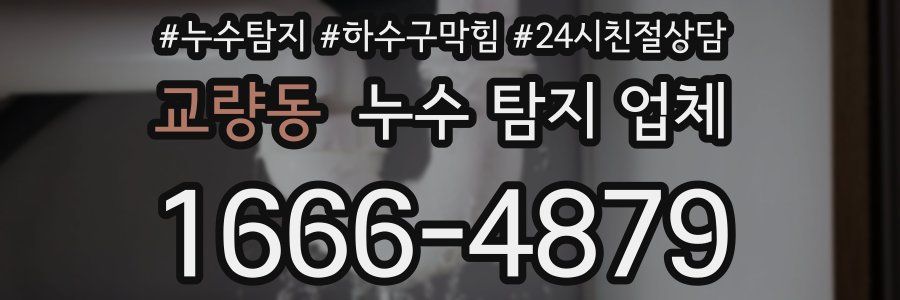 교량동 누수 탐지 업체