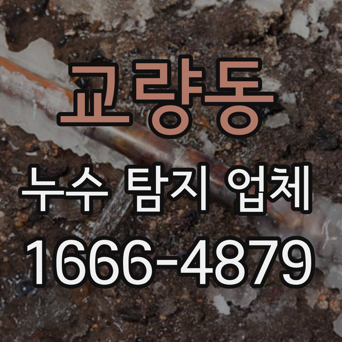 교량동 누수 탐지 업체