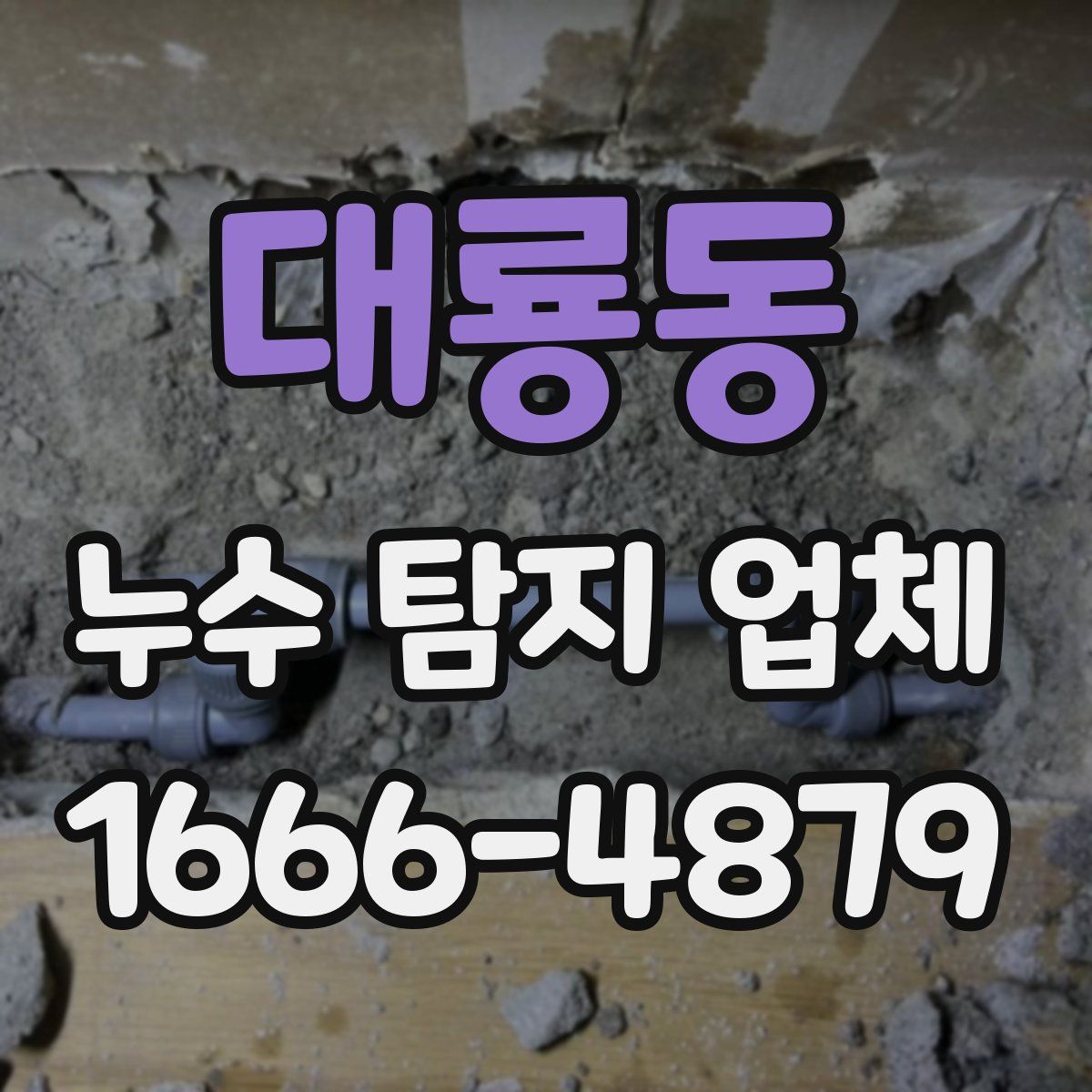 대룡동 누수 탐지 업체