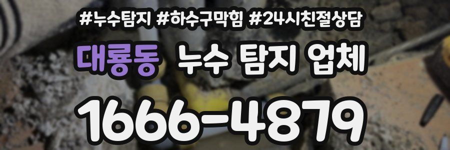 대룡동 누수 탐지 업체