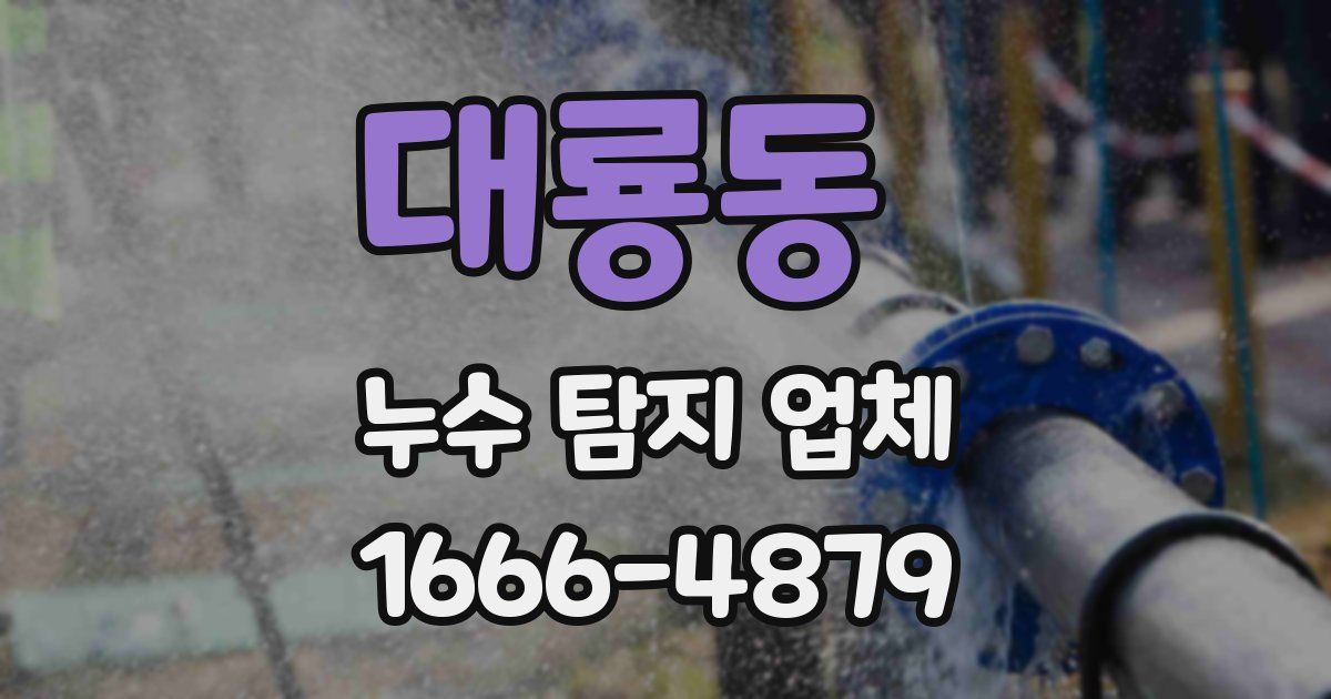 대룡동 누수 탐지 업체