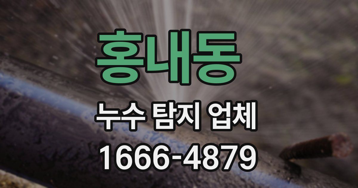 홍내동 누수 탐지 업체
