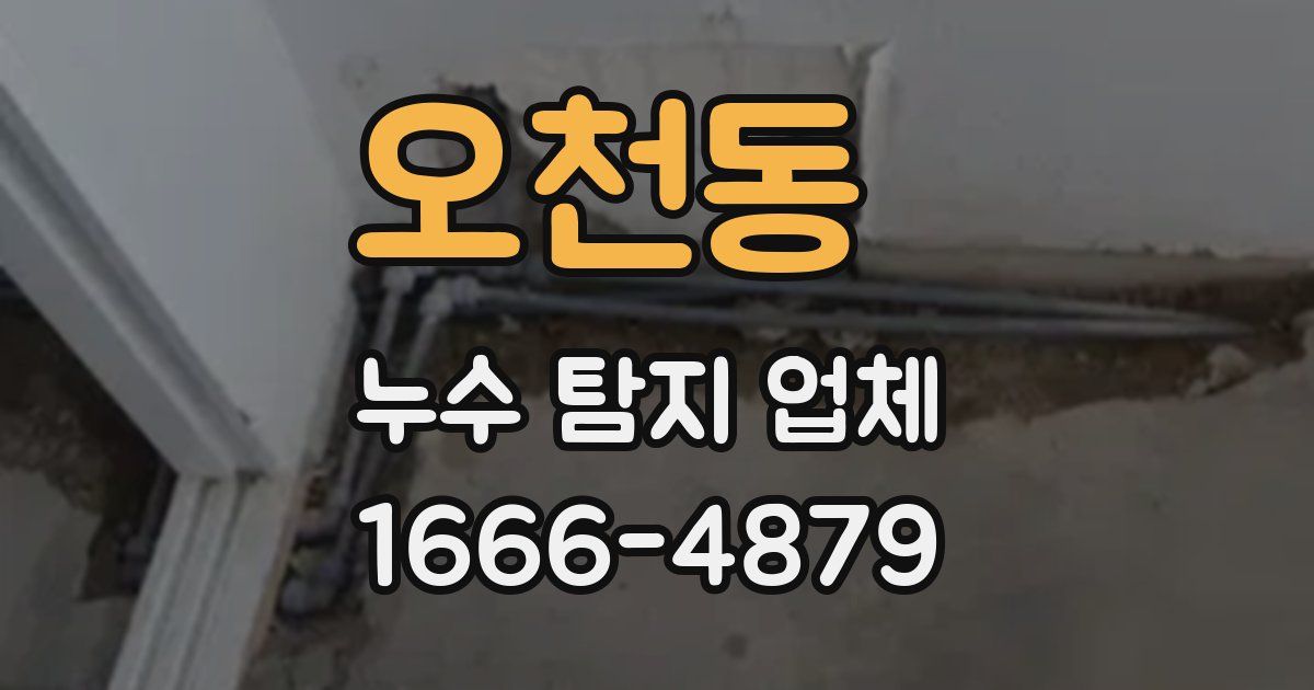 오천동 누수 탐지 업체