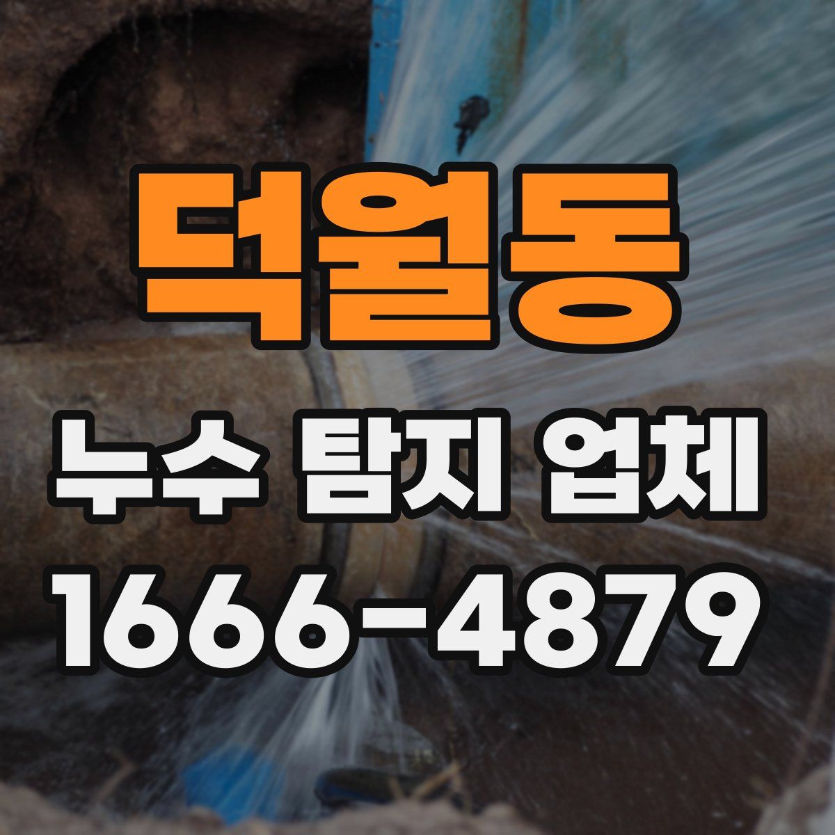 덕월동 누수 탐지 업체