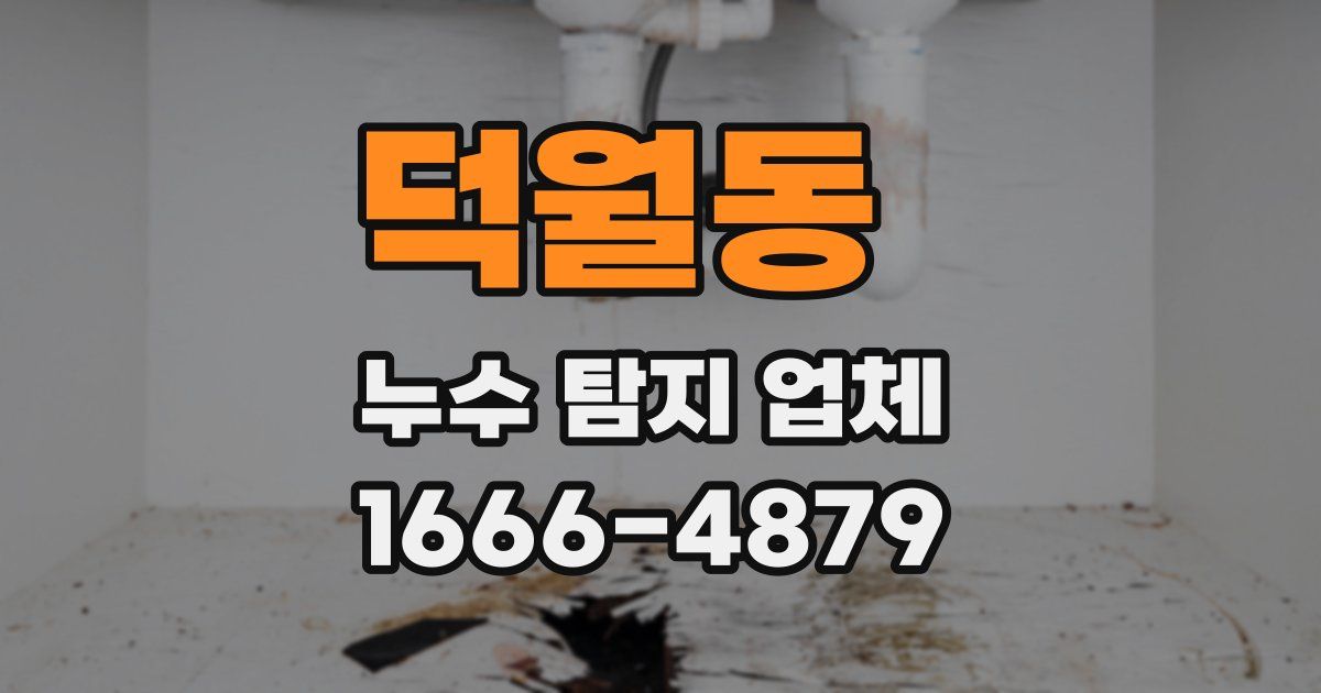 덕월동 누수 탐지 업체