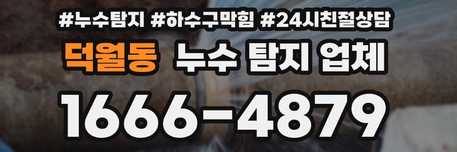 덕월동 누수 탐지 업체