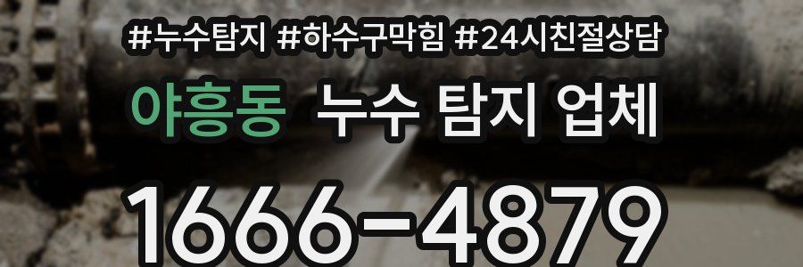 야흥동 누수 탐지 업체
