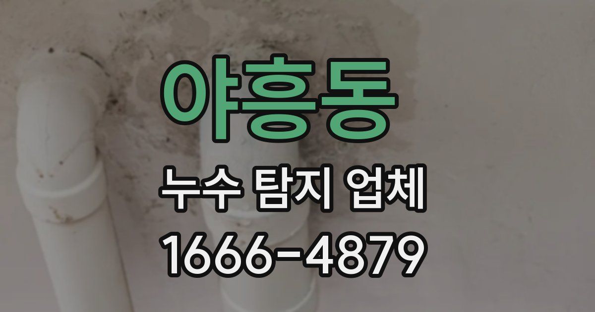 야흥동 누수 탐지 업체