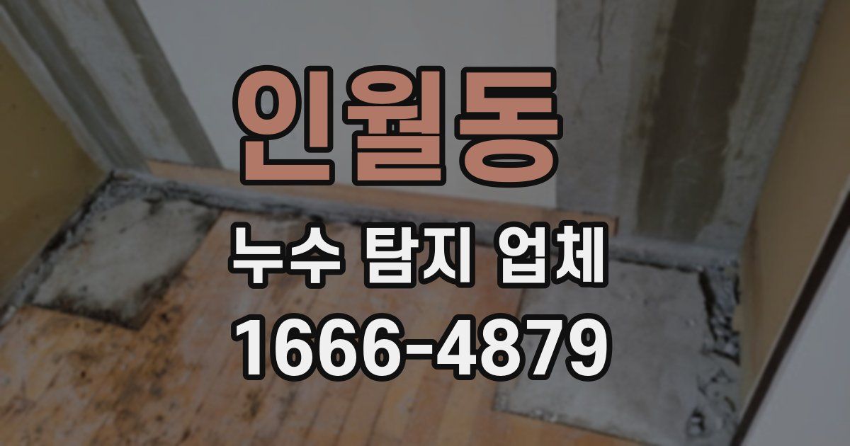 인월동 누수 탐지 업체