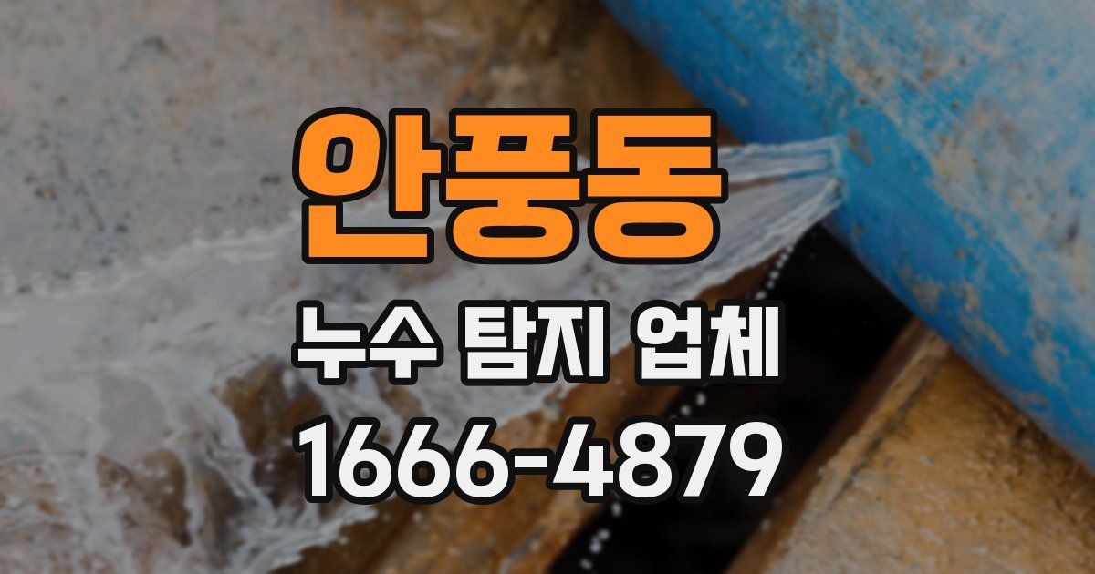 안풍동 누수 탐지 업체