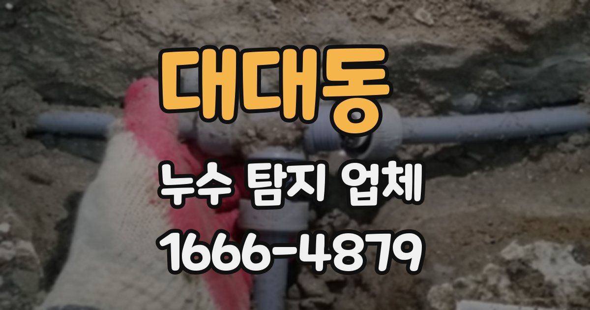 대대동 누수 탐지 업체
