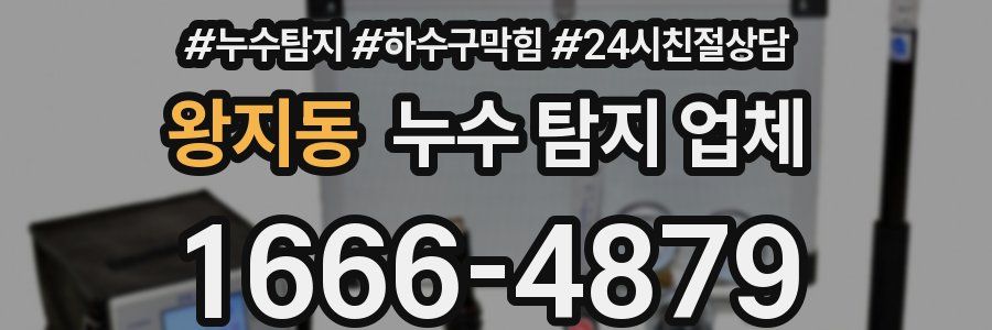 왕지동 누수 탐지 업체