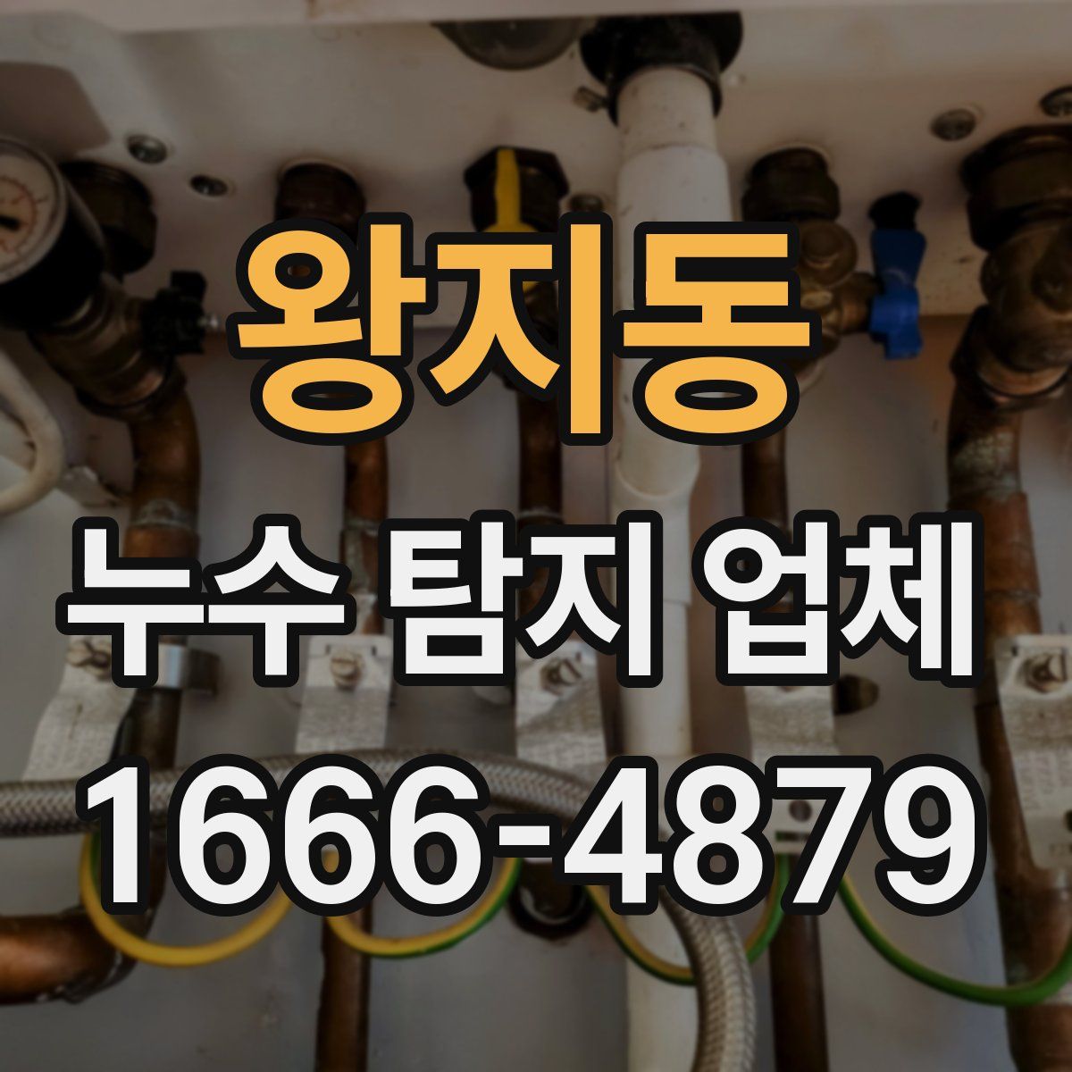 왕지동 누수 탐지 업체