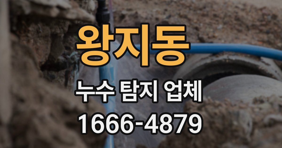 왕지동 누수 탐지 업체
