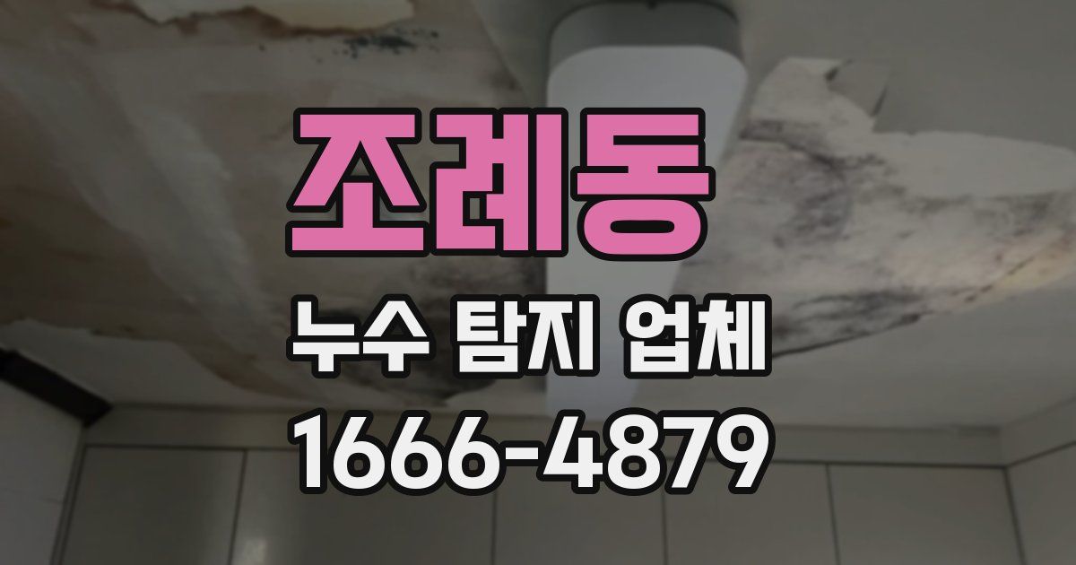 조례동 누수 탐지 업체