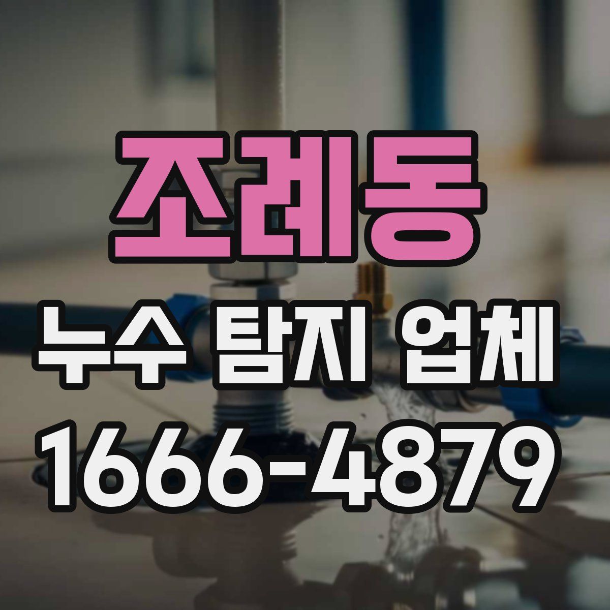 조례동 누수 탐지 업체