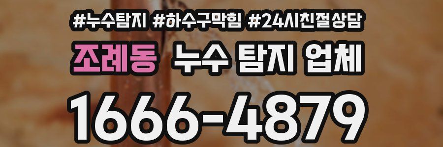 조례동 누수 탐지 업체