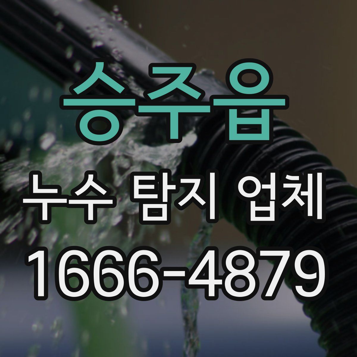 승주읍 누수 탐지 업체