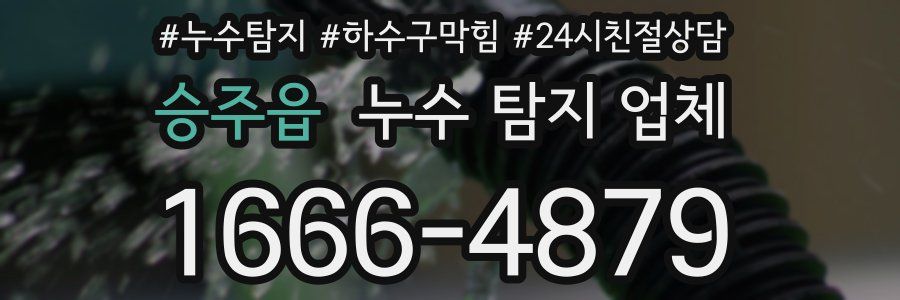 승주읍 누수 탐지 업체